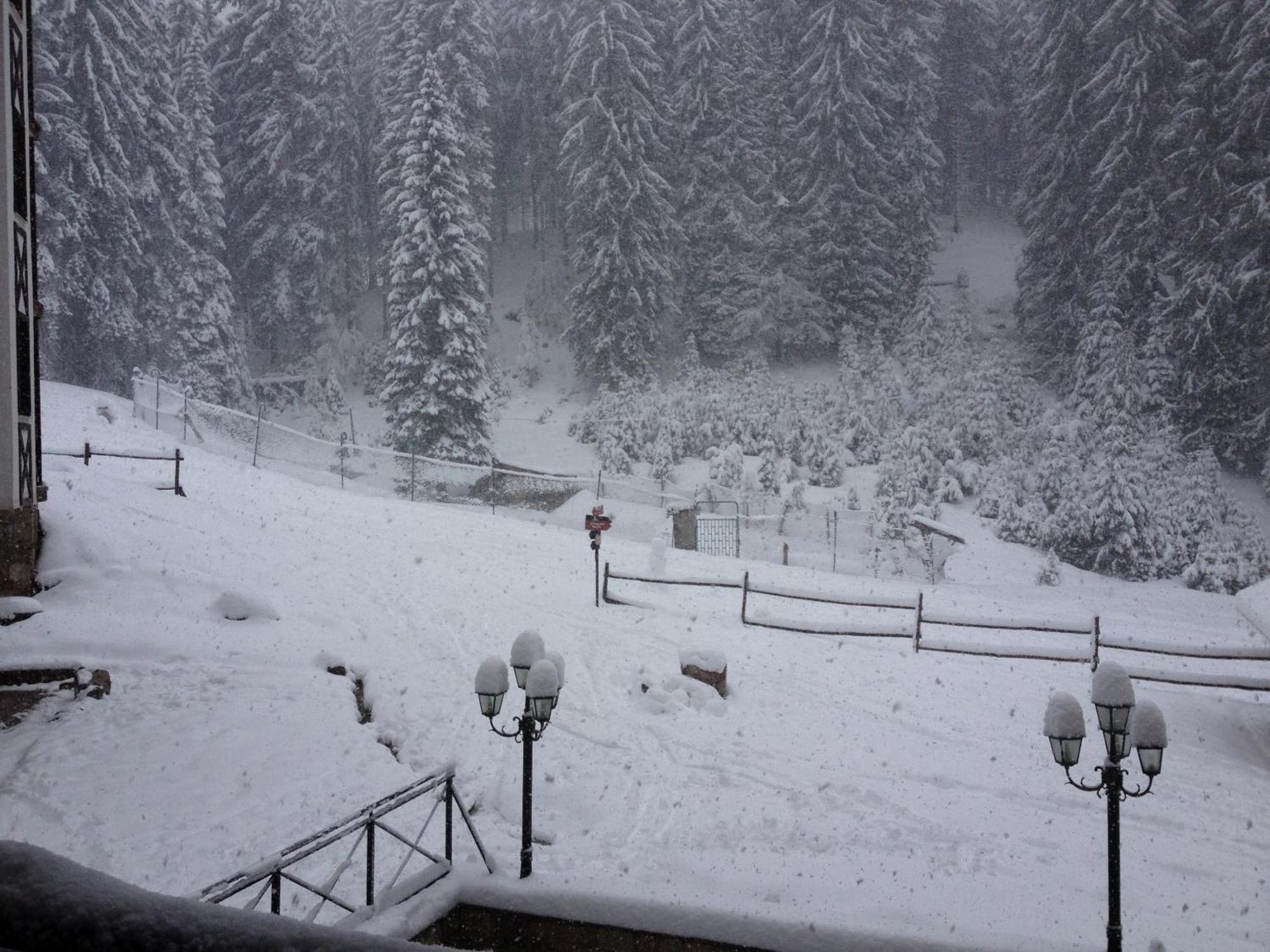 Ski Apartment In Castle Complex Pamporovo Exterior foto
