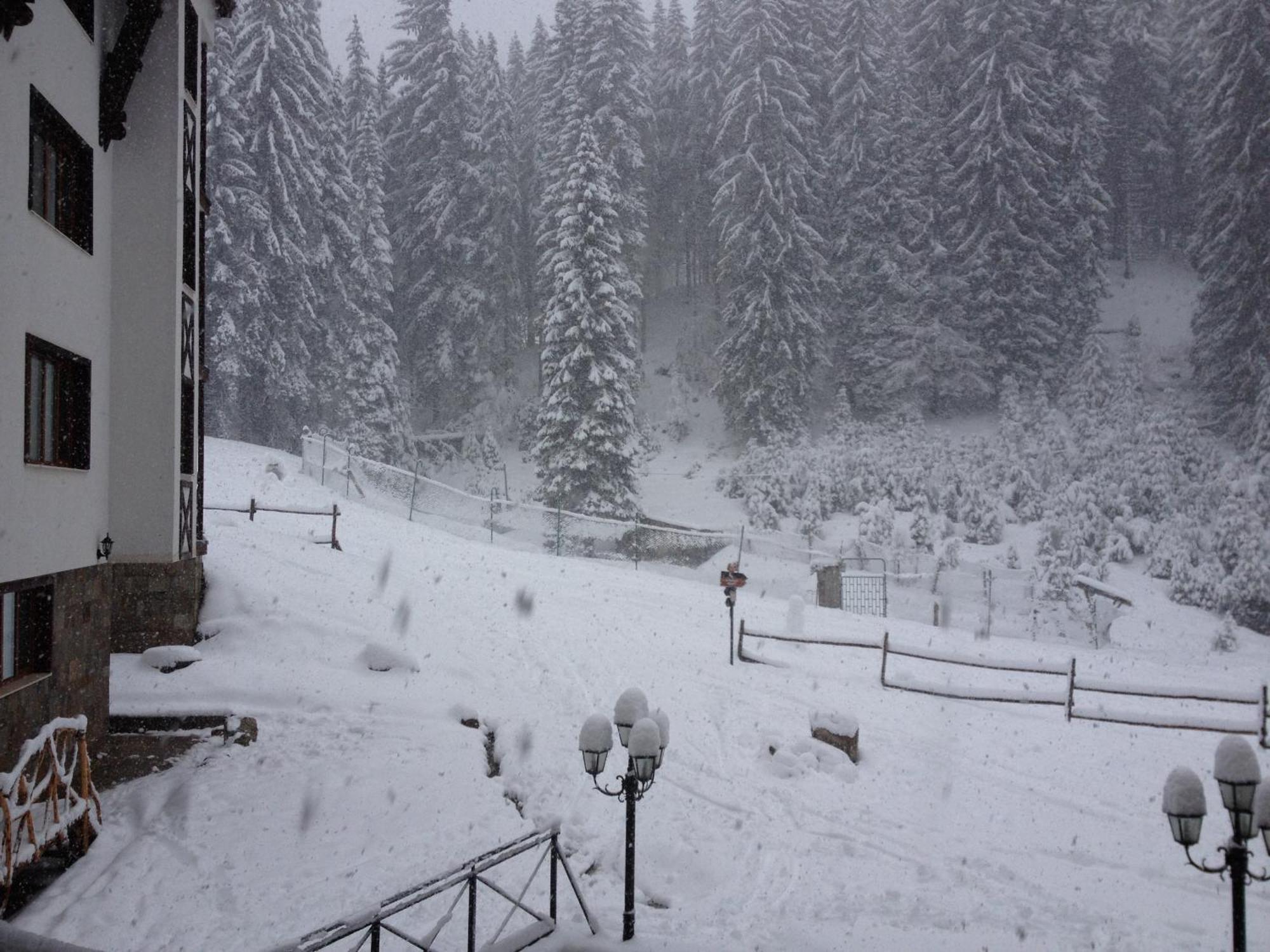Ski Apartment In Castle Complex Pamporovo Exterior foto
