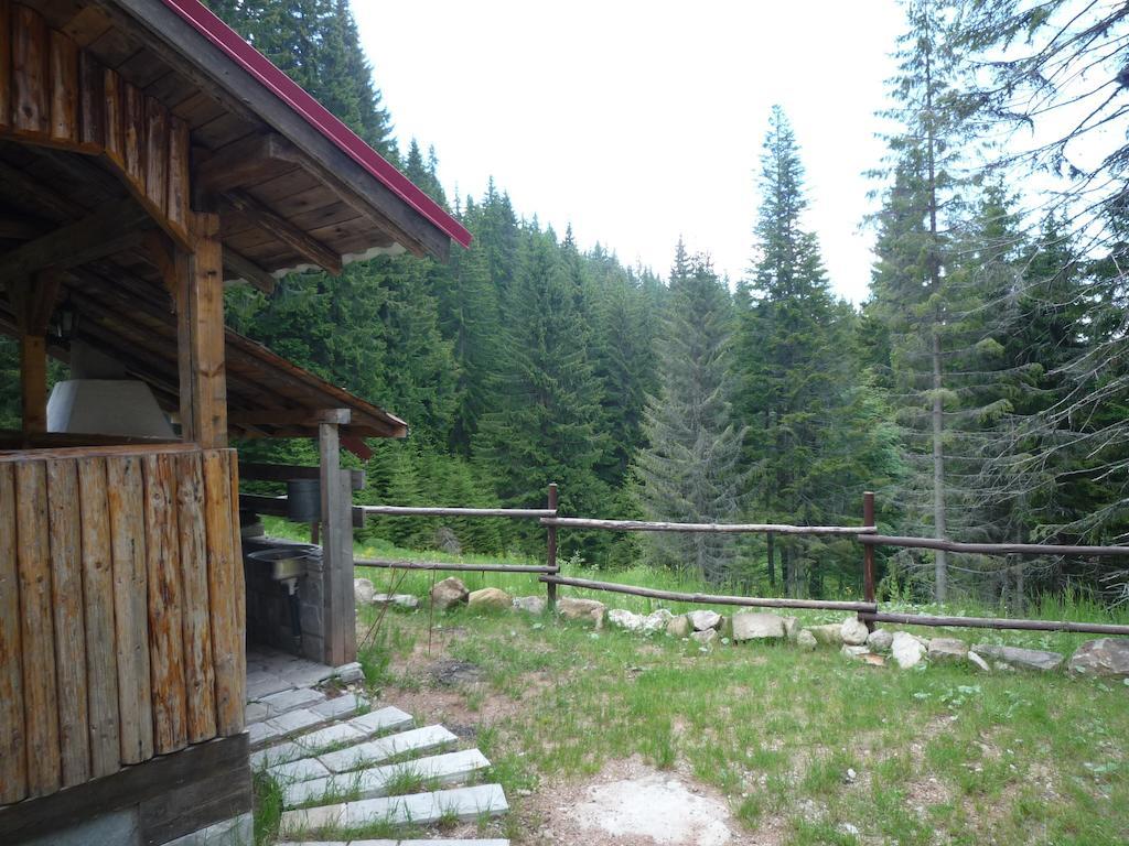 Ski Apartment In Castle Complex Pamporovo Cameră foto