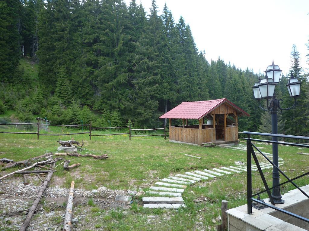 Ski Apartment In Castle Complex Pamporovo Cameră foto