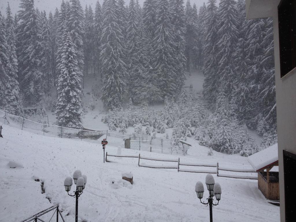 Ski Apartment In Castle Complex Pamporovo Cameră foto